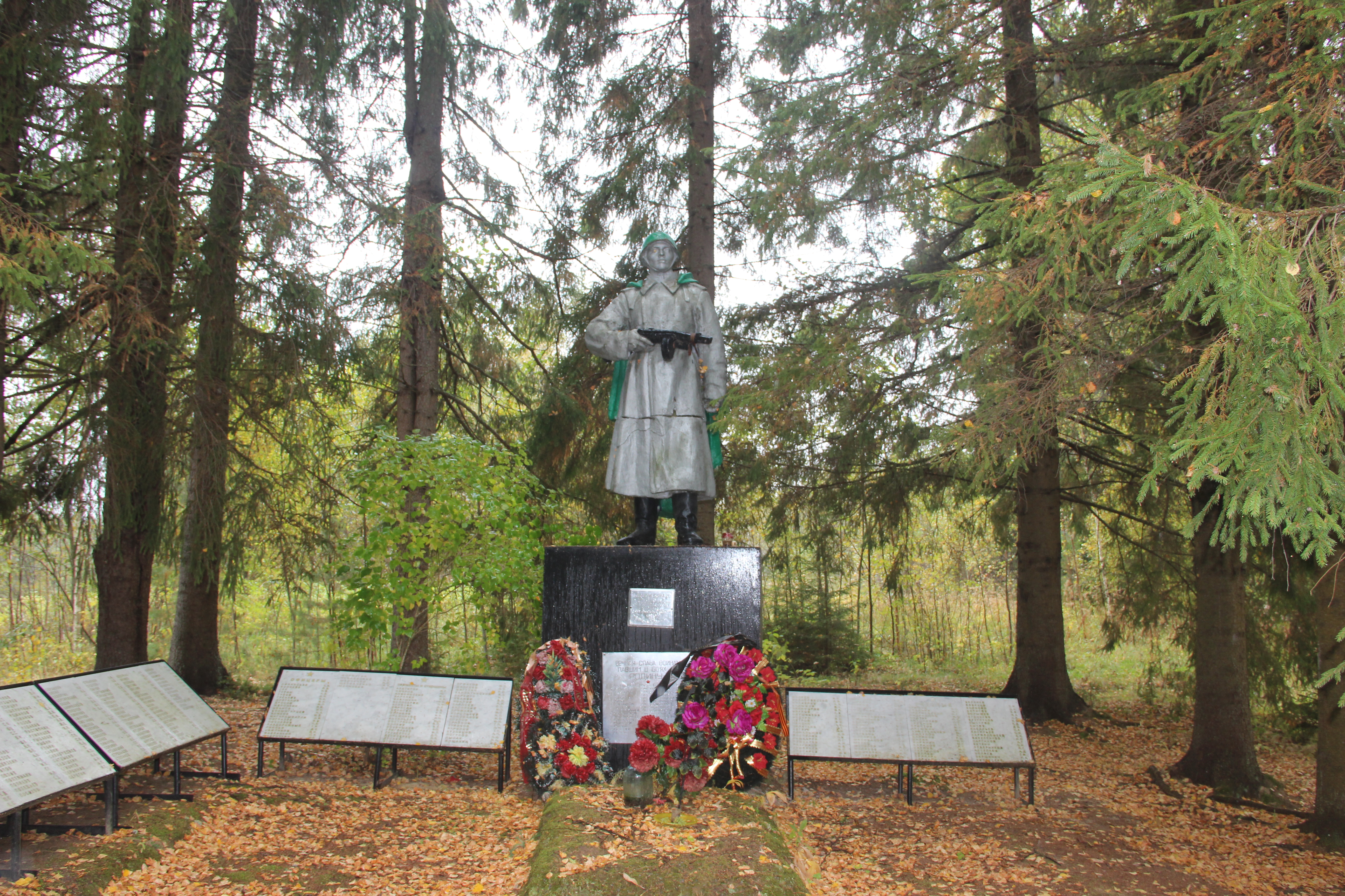 Новгородская область холмский