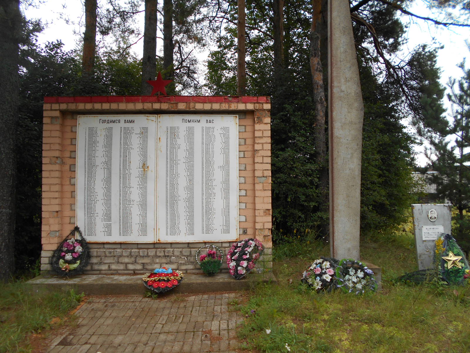 Погода ленинградская область дер пустошка. Деревня Пустошка Псковская область. Деревня Норкино Опочецкий район. Деревня Пустошка Ленинградская область захоронение. Псковская область деревня Норкино.